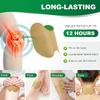 Ramnji Herbal Knee Pain Relief Patches -10 Pcs Natural Wormwood Extract Patch Sticker | Arthritis Inflammation Instant Relief from Pain Relief of Joint Pains for Knee, Back, Neck, Shoulder view 4