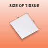 Claret Multi-Fold Paper Tissue | 1 Ply | 125 Sheets | 21x21 cm | Soft & Absorbent | 100% Virgin Pulp | Orange Pack | Skin-Friendly & Durable | Ideal for Dispensers & Daily Use (Pack Of 2) view 2