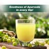 AVG Amla Vital Green Juice (1000ml) from Fresh & Green Amla, Immunity Booster, Powerpacked with Vitamin C and Antioxidants view 3
