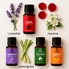Aromas Essential Oil - Lavender, Lemongrass, Jasmine, Orange, Rose (Pack of 5 x 10ml) | 100% Pure & Natural | for Diffuser, Skin, Hair, Massage & Aromatherapy view 3