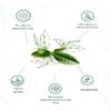 1950 Origins Premium Black Tea | Assam Tea | Ananda Classic CTC 150g and Golden Dusk Leaf 80g | Orthodox Whole Long Leaf And CTC Loose Leaves Tea | Chaipatti | Combo Pack of 2 view 2