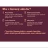 Harmony Laddu | Period & Post-Delivery Care in Every Bite | Postpartum | Lactation | Gond | Dry Fruit Wellness Laddu | Desi Ghee | Protein-Rich, No Preservatives | 500g Pack view 3