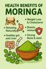 100% Moringa Leaf Powder (100g) | Drumstick Leaf powder | Herbal Supplement | Good for Immunity, Digestion, skincare and Haircare | 100% Natural and Preservative-free view 3