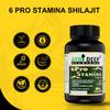 AVNIDEEP AYURVEDA Ayurvedic Wellness Combo Shilajit Ashwagandha Capsules for Stamina with Bhringraj Oil for Strong and Healthy Hair view 2