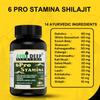AVNIDEEP AYURVEDA Ayurvedic Wellness Combo Shilajit Ashwagandha Capsules for Stamina with Bhringraj Oil for Strong and Healthy Hair view 3