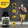 AVNIDEEP AYURVEDA Ayurvedic Wellness Combo Shilajit Ashwagandha Capsules for Stamina with Bhringraj Oil for Strong and Healthy Hair view 4