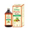 Dravya Aushadhi Giloy Papita Tulsi Ras Ayurvedic Immunity & Digestion Tonic with Giloy, Papaya Leaf & Panch Tulsi | Natural Detox & Vitality Support 500ml view 1