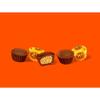 Hershey Reesses Miniature Cups Peanut Butter Cup Candy Party Bag 1Kg view 3