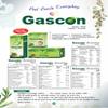 Dr. Totala's Gascon Tablet 100 Tablets | Supports Daily Digestive Wellness | Helps Maintain Routine Comfort, Gut Balance, And Overall Digestive Vitality view 3