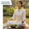 Aditya Ayurveda Pharmacy Giloy Ghanvati | Herbal Extract Tablets | 80 Tablets view 4