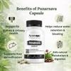 Ayurcaps Punarnava 500mg (60 Veg Capsules) | Ayurvedic Kidney And Liver Support Supplement | Helps Maintain Healthy Fluid Balance | Plant-based | No Added Preservatives (Pack of 1) view 3