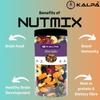 Kalpa Premium Healthy Nut Mix for Eating 400gm Jars Pack of 2 | Total 800gm | Mix Dry Fruits, Nuts & Seeds | Cashews | Almonds | Golden Raisins | Black Raisins | Sunflower Seed | Pumpkin Seed | Cranberries & Dried Amla view 4