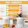 Amorous Mango Chia Seeds Peanut Butter, Gluten Free, 24% Protein, 500g view 3