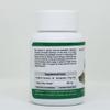 Bhargav Ayurveda I Giloy 60 Capsules & Triphla Powder 100 GMS view 4