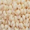 Classic Nuts Phool Makhana | Lotus Seeds | High Protein | Gluten-Free | No Added Preservatives | Maintains Weight, Healthy Snacks (250g) view 3