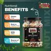 1 Kg Mixed Nuts | 14+ Varities Mixed Nuts Seeds & Berries | International MixNut | Almonds | Walnut | Cashew | Pumpkin | Green Raisin| Black Raisin|Sunflower | Apricot | Flax | Zahidi Dates | Dry Khajoor| Dried 10 In 1 Berries Like Pomelo , kiwi , pa view 4