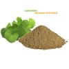 AgroIndia Brahmi Powder For Men And Women-100g - Brahmi Powder For Hair Growth- Rich in Antioxident- 100% Natural With No Added Preservatives- Helps in reducing Hairfall, boost hair growth (100gm) view 3