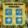 SnoBite Freeze-Dried Pineapple Pouch | 100% Natural | No Added Sugar, Zero Preservatives | Healthy, Tasty, Gluten Free Snack for Adults and Kids | 60g view 3