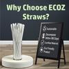 ECOZ Biodegradable Plastic Straws | 12 mm, 100 Count | Eco-Friendly Compostable Sustainable Disposable Drinking Straws | Cocktail Cold Drink Juice White Straws view 3