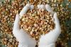 LA YELLOW BERRY Organic Trail Mix  Healthy Snack with Nuts, Seeds & Dried Fruits  Natural Energy Booster, High Protein, Fiber-Rich Snack for On-the-Go, Office & Home (250g) view 4