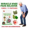 Herbal Knee Relief Patch  Natural Plant-Based Heating Pad for Knee, Joint & Muscle Comfort, Arthritis, Back Pain & Body Pain Relief  Easy to Use Herbal Plaster for Men & Women (Pack of 10) view 3