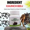 NIDCO Herbal Heritage Kapikachhu 500mg | Mucuna Pruriens Tablets for Brain Health, Energy & Stamina | Black Kaunch Beej | Ayurvedic Velvet Bean | 60 Pure Herbal Veg Tablets | Kala Koch Beej view 3