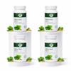Raasa Brahmi Churna | Organic Memory & Focus Enhancer | Brain Tonic for Stress Relief & Mental Clarity (Pack of 4) 100g Each view 1