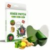 40 PCS Herbal Organic Detox Pain Relief Patches for Knee | Ayurvedic Wormwood Extract Patch for Arthritis | Joint Pain Relief for Back | Neck | Shoulder | Muscle Inflammation | Natural Healing Support view 1