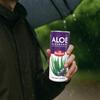 Dellos Aloe Blueberry Drink with Aloe Pieces, 240ml, Pack of 8 view 4