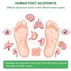 30 Adhesive Herbal Detox Foot Pads Natural Patches for Cleansing, Relaxation and Circulation Support for Improved Body Wellness view 3