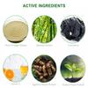 Herbal Adhesive Detox Pads 20 Foot Patches to Support Sleep and Relaxation view 4