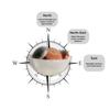 7 Decore Certified Selenite Bowl  Original Selenite Crystal Bowl for Charging & Cleansing Crystals, Reiki, Vastu, Feng Shui Energy Healing Decor, Spritiual Practice, Home Decor & Housewarming Gift view 3