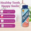 Ayurvedic payokil dant manjan tooth powder 100 gm set of 2 view 3