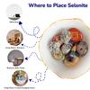 7 Decore Certified Natural Selenite Charging Bowl for Crystals, Jewelry & Healing | Reiki Energy Cleanser, Crystal Charging & Meditation Money Bowl (5x2.5 Inch, Handcrafted) view 4