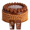 BOGATCHI Chocolate Whipping Cream Powder with Choco Butterscotch Kit 20g | Ideal for Cake Decoration, Pastries, Ice Cream & Desserts (50g x Pack of 2) view 4