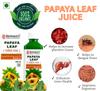 Papaya Leaf Juice 500ml | Pure Herbal Fresh Papaya Leaves Extract | Ayurvedic Immunity Booster & Platelet Support | Sugar-Free Natural Health Juice | Shrimants Papaya Leaf view 2