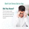 Aromatherapy Stress Relief Premium Roll On | 100% Pure Essential Oils | Reduces Stress, Anxiety, Low Mood, Irritation, Tension, Fatigue & Insomnia | Uplifts Mood, Revitalizes Mind, Promotes Peace & Positivity | Soothes Nerves, Boosts Relaxation & Sup view 4