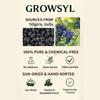 GROWSYL Dried Black Grapes with Seeds | 100% Natural, Sweet & Chewy | Rich in Antioxidants, Vitamins & Fiber | Healthy Snack, Baking & Dessert Ingredient | Available in 100g, 250g, 500g & 1kg Packs (100g) view 3