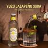 Sepoy & Co. Yuzu Jalapeo Soda, Picante Cockatil Mixer, Sparkling Mixer, Low Cal, 100% Natural, Best mixed with Tequila (Pack of 12) view 3