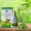Punch Tulsi view 2