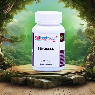 Cell Health Phosphatidylcholine 500mg Enhanced Version of Sunflower and Soy Lecithin (Choline Supplements) - Gluten Free to Support Brain Health - 30 capsules