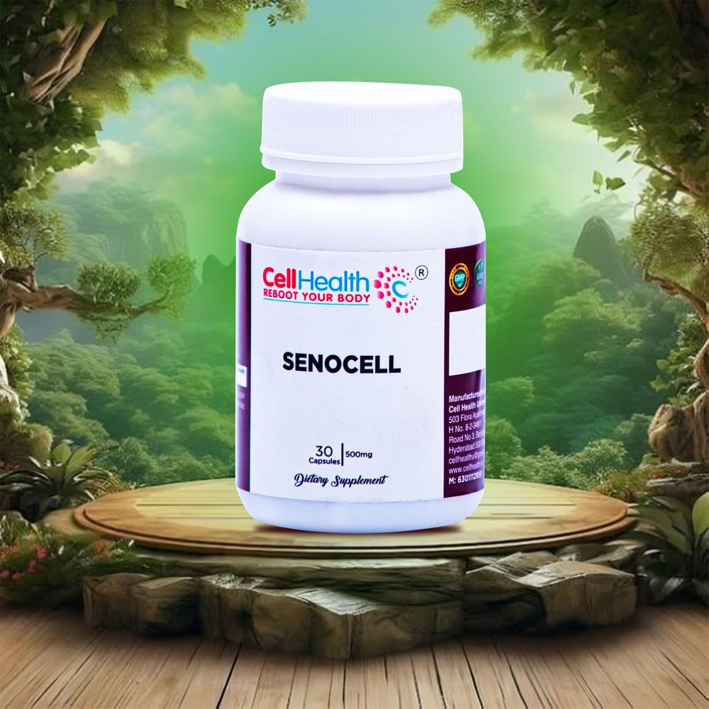 Cell Health Phosphatidylcholine 500mg Enhanced Version of Sunflower and Soy Lecithin (Choline Supplements) - Gluten Free to Support Brain Health - 30 capsules