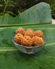 MonBangla Special Home made Til er Naru -400 G (200GX2) Authentic & Fresh view 1