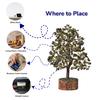 7 Decore Original Certified Pyrite Money Tree (300 Beds) | Natural Pyrite Crystal Tree for Wealth, Vastu, Feng Shui & Positive Energy | Home & Office Desk Decor | Gift-Ready Box (1012 Inch Height) view 4