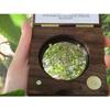 Spherical Crown Densiometer Convex Forestry Suppliers Wildlife Equipment view 2