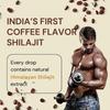 Alpha Arogya Rudra Shilajit Resin Drops 40g | Indias 1st Coffee Flavored Shilajit | Boost Energy, Strength & Stamina Naturally | 62% Fulvic Acid | High Potency Shilajeet | 100 Serving | 250mg/Serving | 100% Ayurvedic view 2