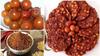Regi Vadiyalu | Traditional Andhra Sun-Dried Snack | Homemade Crunchy Vadiyalu | Natural & Preservative-Free | Elantha Palam Vadiyalu | Jujube Vada |    | 200g view 3
