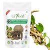 Urjveda Neem Giloy Powder | Natural Herbal Blend | Finely Ground for Smooth Use | Ideal for Traditional Applications | Supports Daily Wellness Routine | Hygienically Packed (100g) view 1