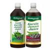Baidyanath Neem Karela Jamun & Karela Jamun Juice combo (2L, 1Litre X 2) | Natural Remedy for Blood Sugar Management | Best For Digestive Health, Diabetic, Skin Care & Natural Detox | No Added Sugar view 1