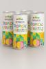 Ahnlichs Tropical Fruits Drink  Refreshing Juice Blend with Pineapple, Mango & Passionfruit (Pack of 6) view 1